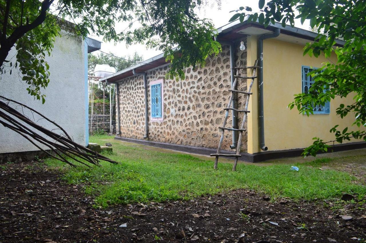Chef Wondim Backpackers Hostel Gonder Eksteriør bilde